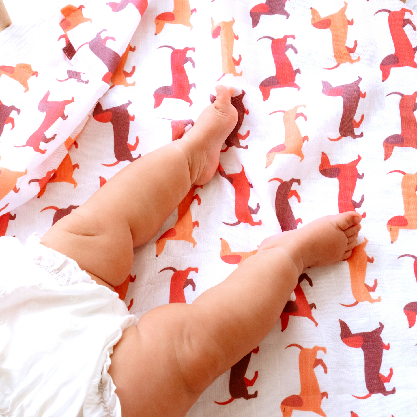 Muslin Swaddle Baby Blanket Large Organic Cotton Dachshund Sausage Dog