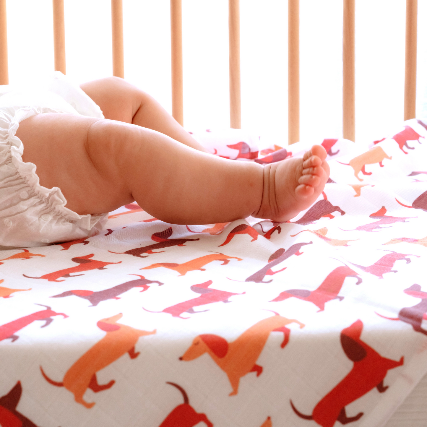 Muslin Swaddle Baby Blanket Large Organic Cotton Dachshund Sausage Dog