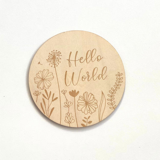 Baby Birth Announcement Sign Hello World Newborn Baby Gift