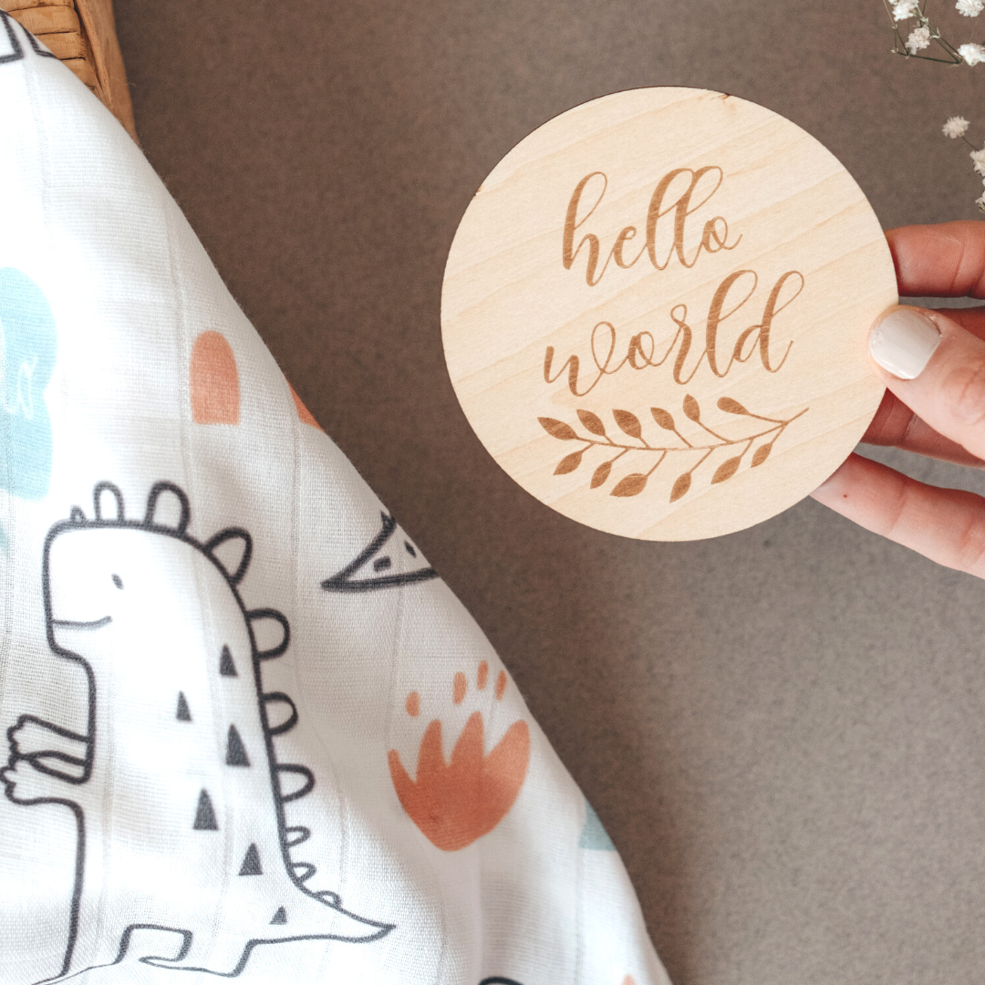 Baby Birth Announcement Sign Hello World Newborn Baby Gift
