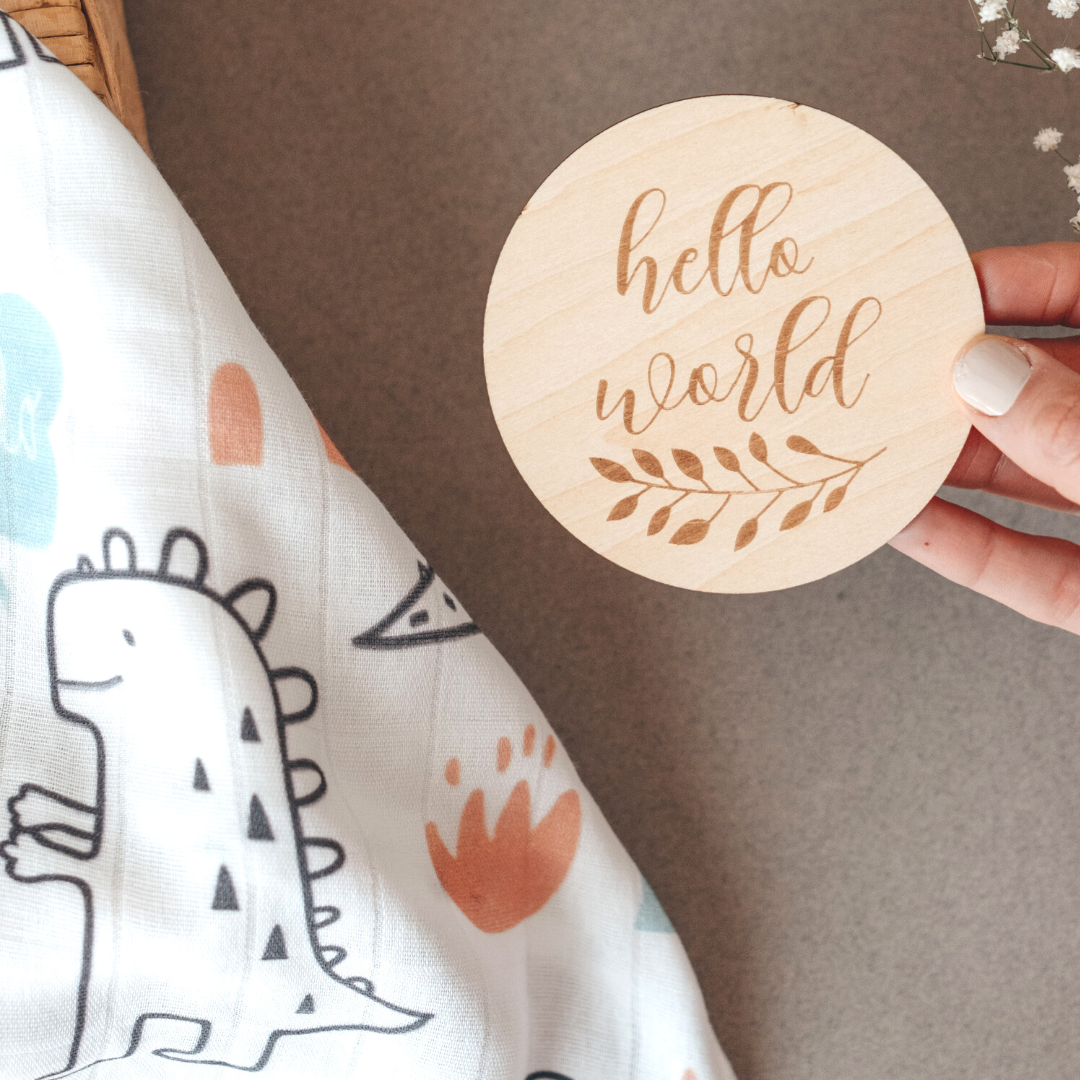 Baby Announcement Sign - Hello World Eucalyptus